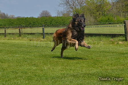 Jederhundrennen / Bild 431 von 488 / 01.05.2016 14:28 / DSC_0609.JPG
