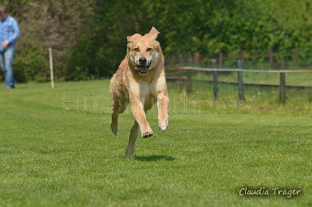 Jederhundrennen / Bild 463 von 488 / 01.05.2016 14:37 / DSC_0801.JPG