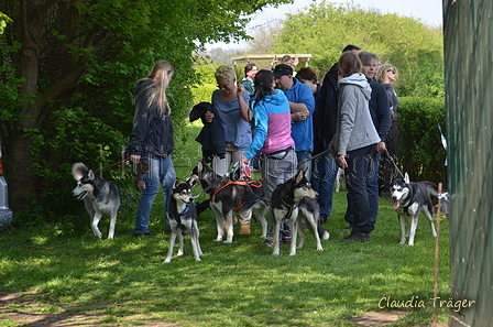 Jederhundrennen / Bild 475 von 488 / 01.05.2016 14:41 / DSC_0858.JPG