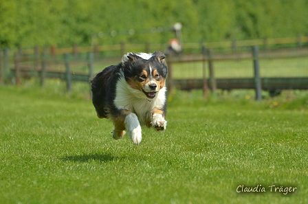 Jederhundrennen / Bild 240 von 516 / 01.05.2017 12:09 / DSC_7666.JPG