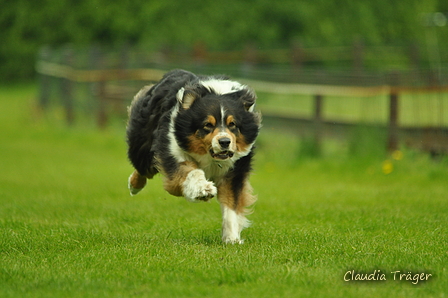 Jederhundrennen / Bild 464 von 516 / 01.05.2017 15:13 / DSC_2588.JPG