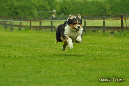 Jederhundrennen / Bild 465 von 516 / 01.05.2017 15:13 / DSC_2589.JPG