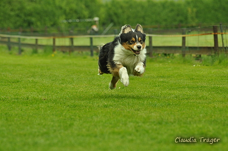 Jederhundrennen / Bild 465 von 516 / 01.05.2017 15:13 / DSC_2589.JPG