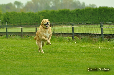 Jederhundrennen / Bild 502 von 516 / 01.05.2017 15:25 / DSC_2742.JPG