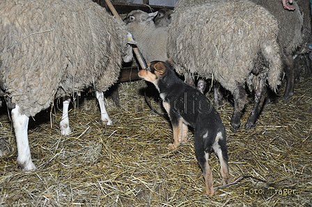 Besuche bei Kuhni / Bild 64 von 87 / 21.04.2014 11:24 / DSC_8634.JPG