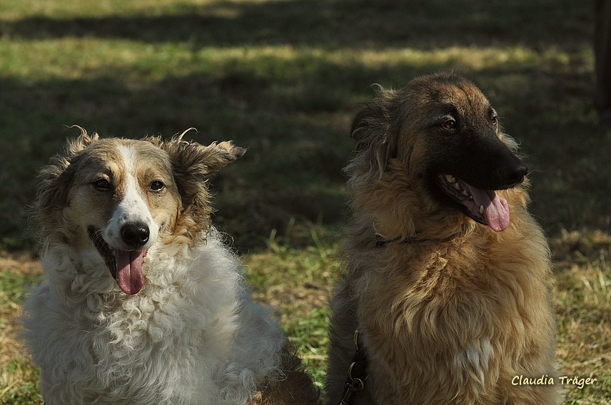 Pferdestark / Bild 6 von 76 / 24.08.2019 10:33 / DSC_2340.JPG