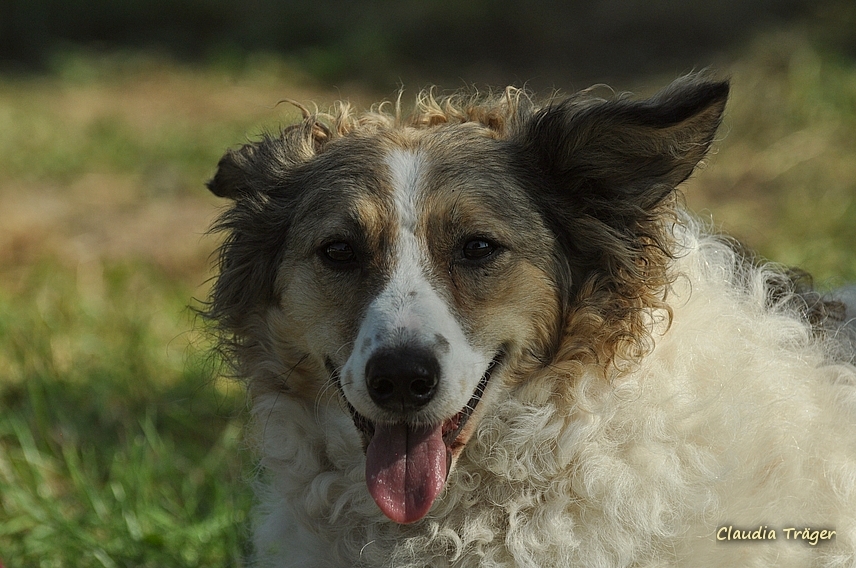 Pferdestark / Bild 11 von 76 / 24.08.2019 10:34 / DSC_2382.JPG