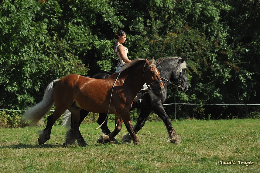 Pferdestark / Bild 17 von 76 / 24.08.2019 10:46 / DSC_2558.JPG