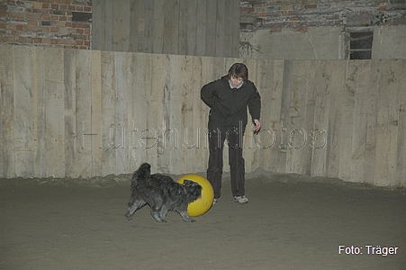 Bild 9/12