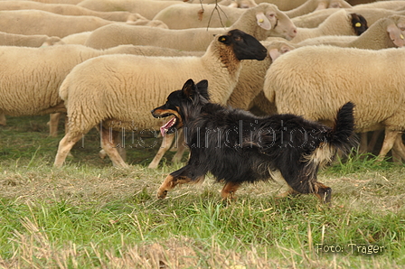 VDL Bundeshüten 2015 / Bild 6 von 169 / 12.09.2015 11:57 / DSC_6734.JPG