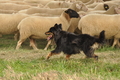 VDL Bundeshüten 2015 / Bild 6 von 169 / 12.09.2015 11:57 / DSC_6734.JPG