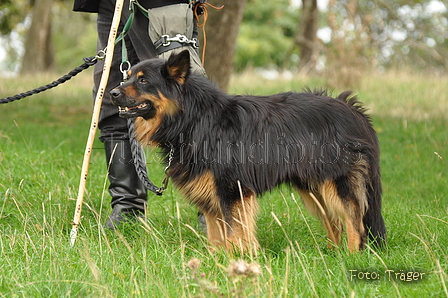 VDL Bundeshüten 2015 / Bild 16 von 169 / 12.09.2015 13:43 / DSC_7026.JPG