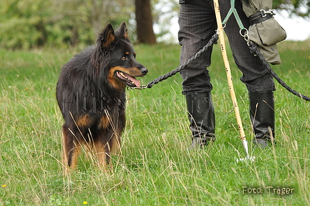 VDL Bundeshüten 2015 / Bild 18 von 169 / 12.09.2015 13:44 / DSC_7049.JPG