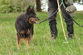 VDL Bundeshüten 2015 / Bild 18 von 169 / 12.09.2015 13:44 / DSC_7049.JPG