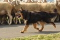 VDL Bundeshüten 2015 / Bild 27 von 169 / 12.09.2015 14:29 / DSC_7454.JPG