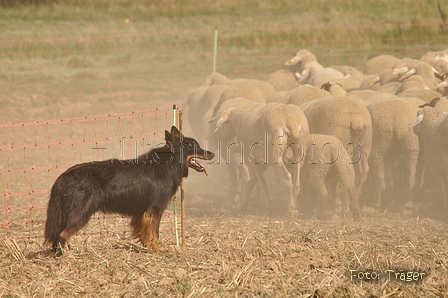 VDL Bundeshüten 2015 / Bild 32 von 169 / 12.09.2015 14:34 / DSC_7565.JPG