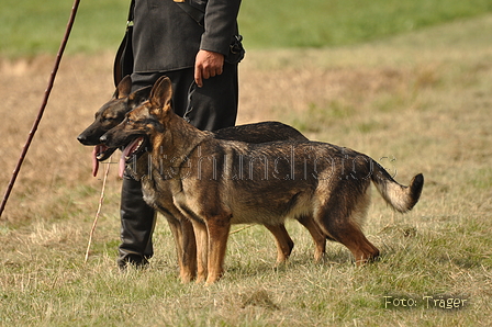 VDL Bundeshüten 2015 / Bild 33 von 169 / 12.09.2015 14:52 / DSC_7655.JPG