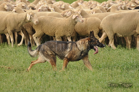 VDL Bundeshüten 2015 / Bild 45 von 169 / 12.09.2015 15:03 / DSC_7767.JPG