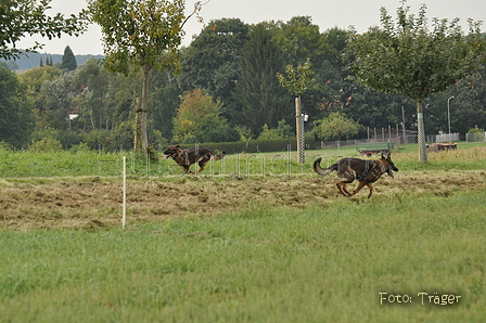 VDL Bundeshüten 2015 / Bild 46 von 169 / 12.09.2015 15:04 / DSC_7807.JPG