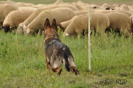 VDL Bundeshüten 2015 / Bild 48 von 169 / 12.09.2015 15:07 / DSC_7873.JPG