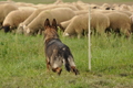 VDL Bundeshüten 2015 / Bild 48 von 169 / 12.09.2015 15:07 / DSC_7873.JPG