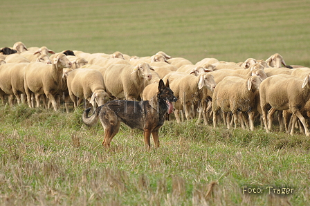 VDL Bundeshüten 2015 / Bild 51 von 169 / 12.09.2015 15:25 / DSC_8011.JPG