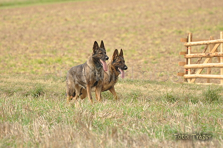 VDL Bundeshüten 2015 / Bild 53 von 169 / 12.09.2015 15:26 / DSC_8034.JPG