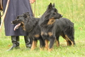 VDL Bundeshüten 2015 / Bild 134 von 169 / 13.09.2015 11:06 / DSC_0282.JPG