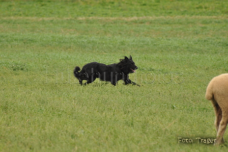 VDL Bundeshüten 2015 / Bild 143 von 169 / 13.09.2015 11:37 / DSC_0537.JPG