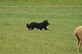 VDL Bundeshüten 2015 / Bild 143 von 169 / 13.09.2015 11:37 / DSC_0537.JPG