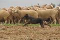 VDL Bundeshüten 2015 / Bild 152 von 169 / 13.09.2015 12:04 / DSC_0761.JPG