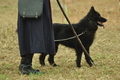 VDL Bundeshüten 2015 / Bild 162 von 169 / 13.09.2015 14:07 / DSC_1368.JPG