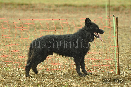 VDL Bundeshüten 2015 / Bild 169 von 169 / 13.09.2015 14:58 / DSC_1756.JPG