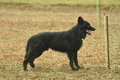 VDL Bundeshüten 2015 / Bild 169 von 169 / 13.09.2015 14:58 / DSC_1756.JPG