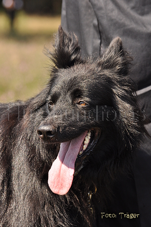 VDL Landeshüten Niedersachsen 2015 / Bild 25 von 33 / 22.08.2015 11:25 / DSC_3682.JPG