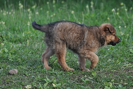 Bild 75 von 78