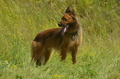 Vorschau von Bild 22 von 88