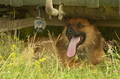 Vorschau von Bild 86 von 88