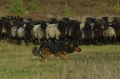 Vorschau von Bild 87 von 156