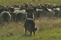 Vorschau von Bild 95 von 156